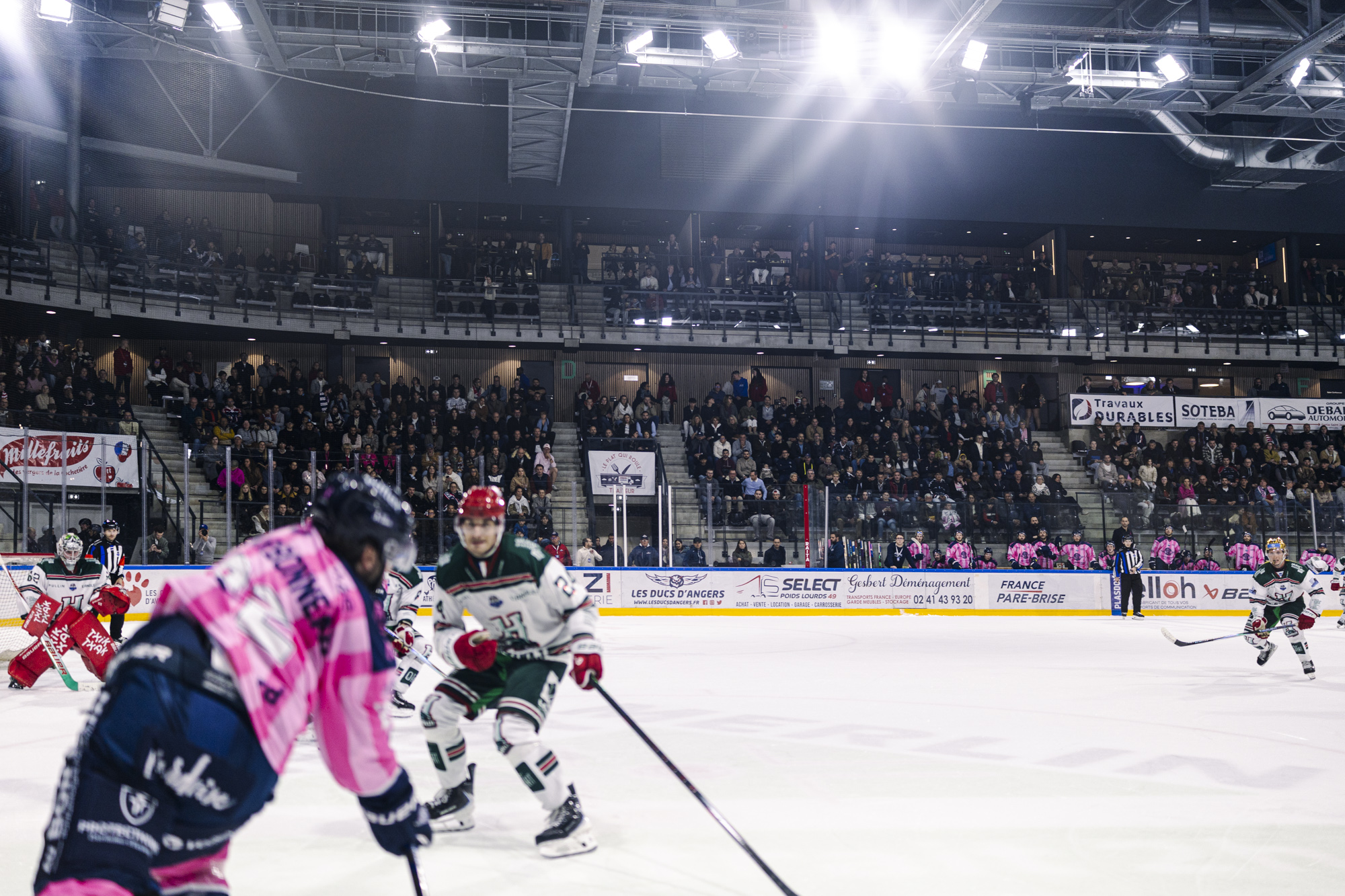 Les Ducs d’Angers — Hockey sur glace, photo 4