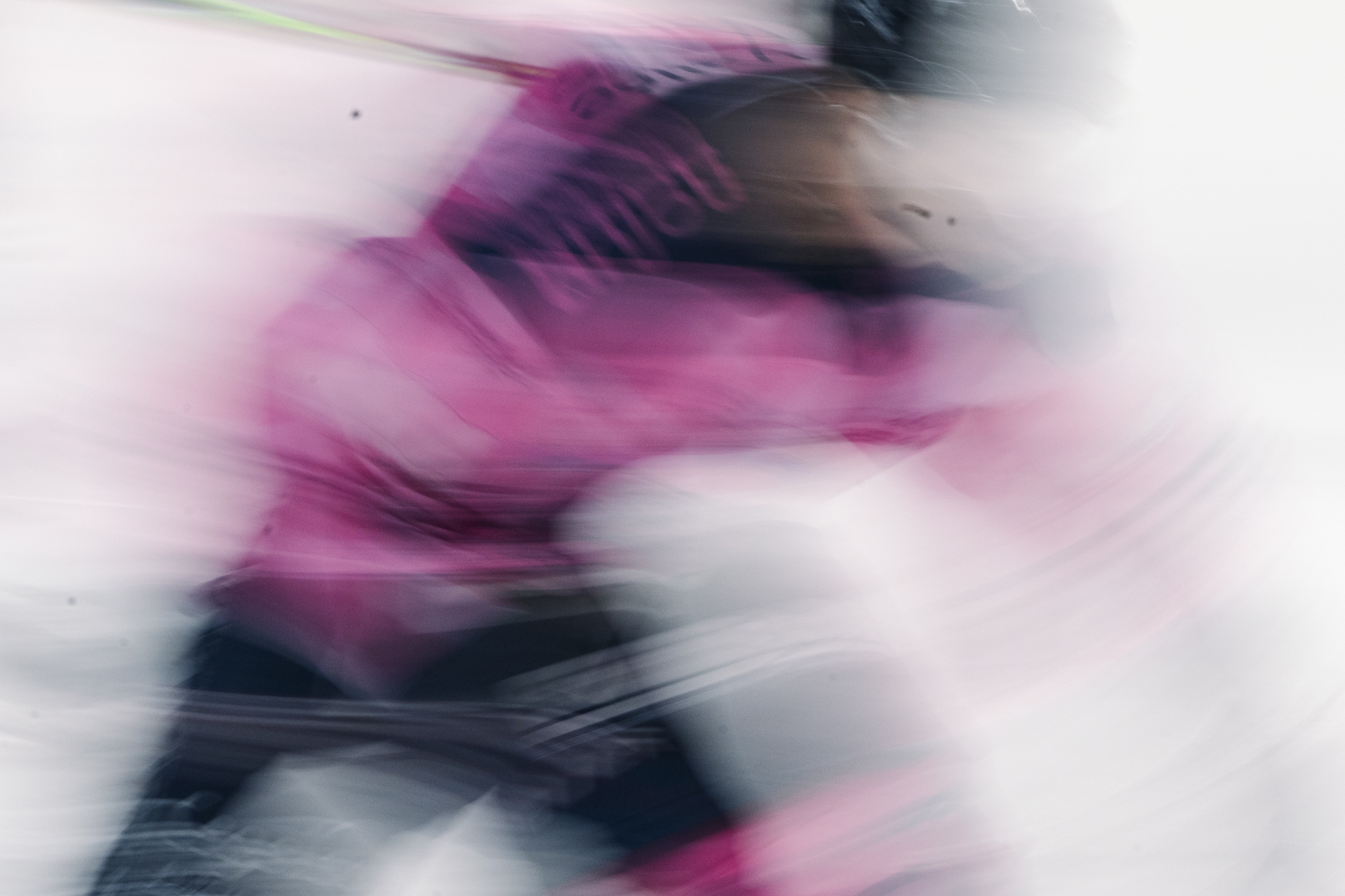 Les Ducs d’Angers — Hockey sur glace, photo 3