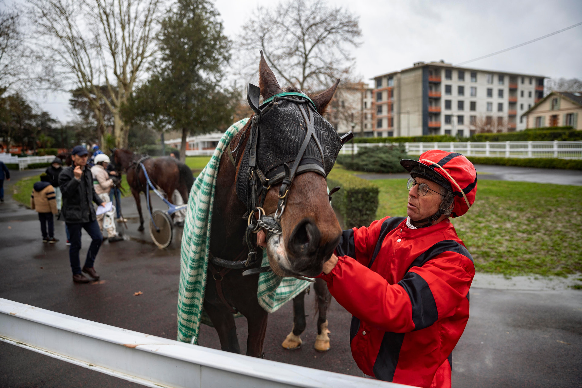 Hippodrome — Courses hippiques, photo 4