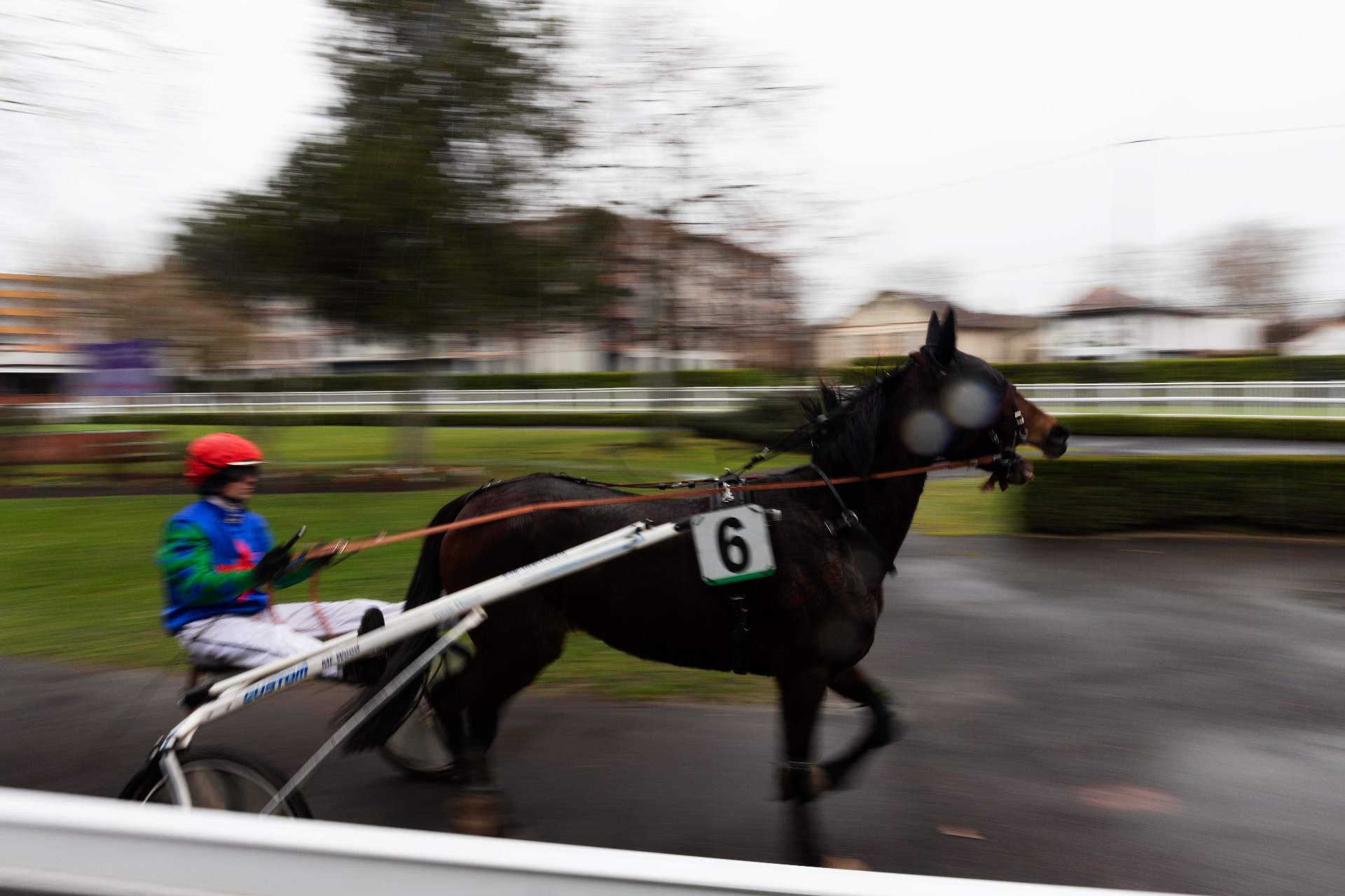 Hippodrome — Courses hippiques, photo 2